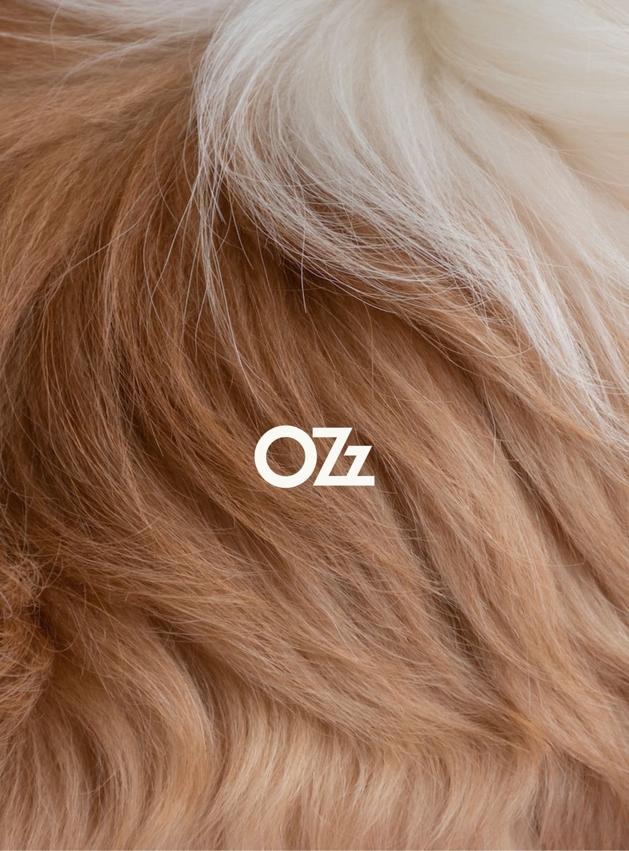 Image of a dog's hair close up and Ozz logo in the middle.