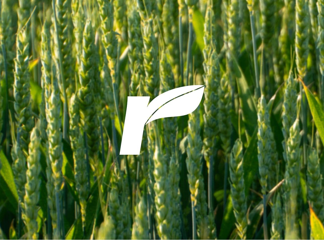 Empagro's white leaf symbol over a field of green crops.
