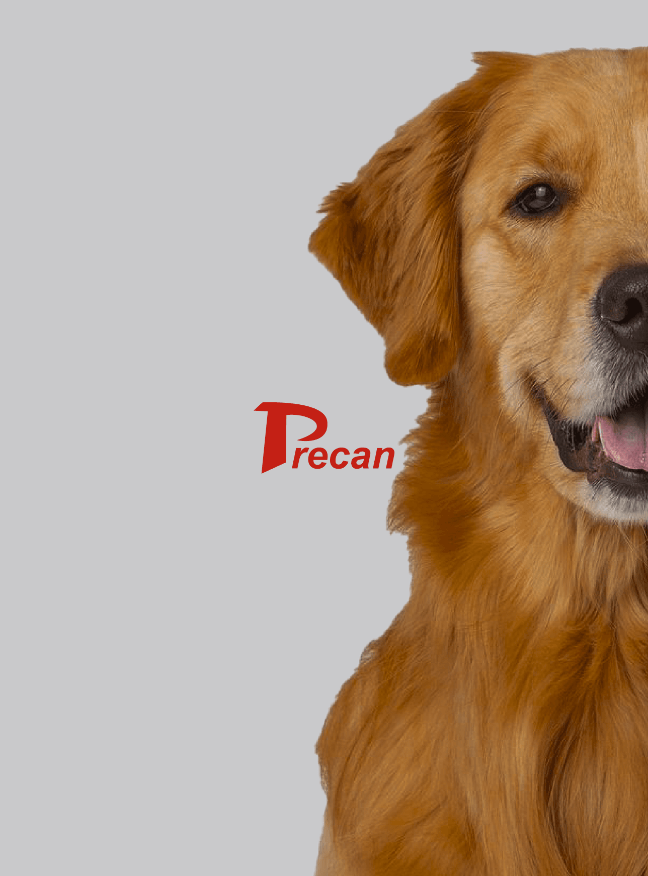 Precan brand logo alongside a golden retriever